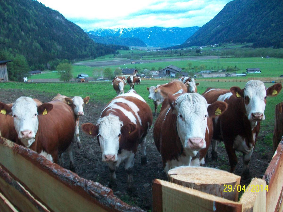 Luggishof Villa Sand in Taufers Exteriör bild